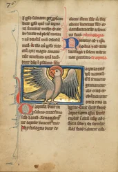 Ein Adler